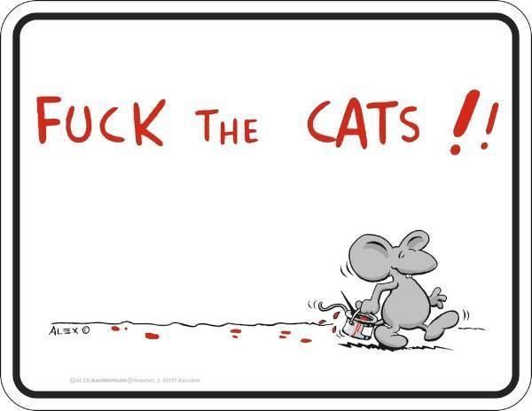 Insegne: Funschild - FUCK THE CATS!! – Nuovo (secondo la descrizione) da Rupperswil venduto da big-one-sale