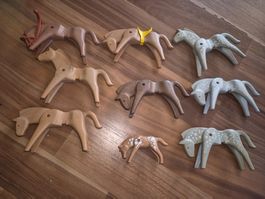 Playmobil 8 Pferde ein Fohlen