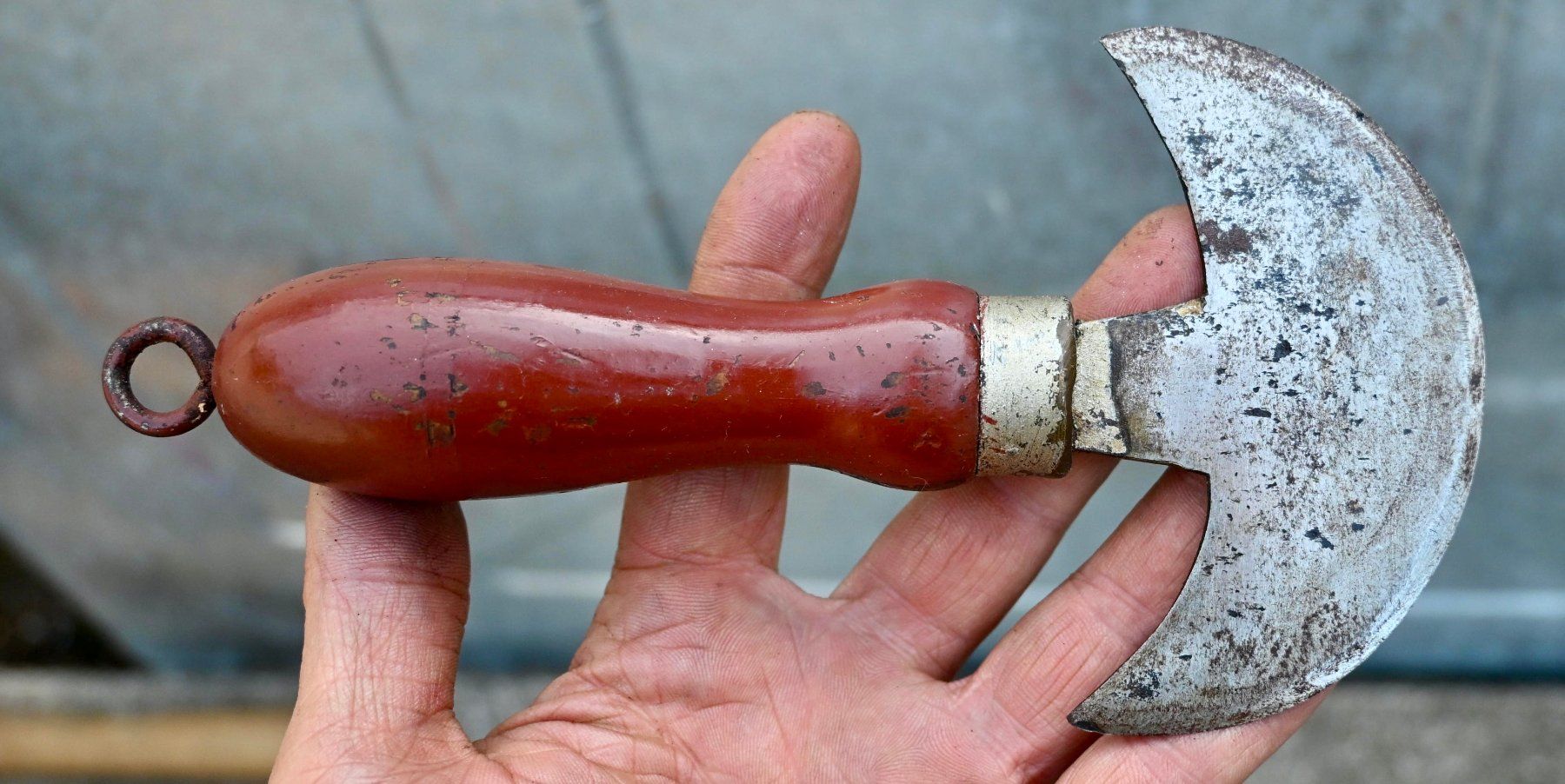 Sattler Tutti gli attrezzi: antikes Halbmondmesser - Sattlermesser länge 19cm – Usato da Pfaffhausen venduto da mono_rec 2