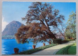 Lugano - Mte S. Salvatore dal Parco Civico