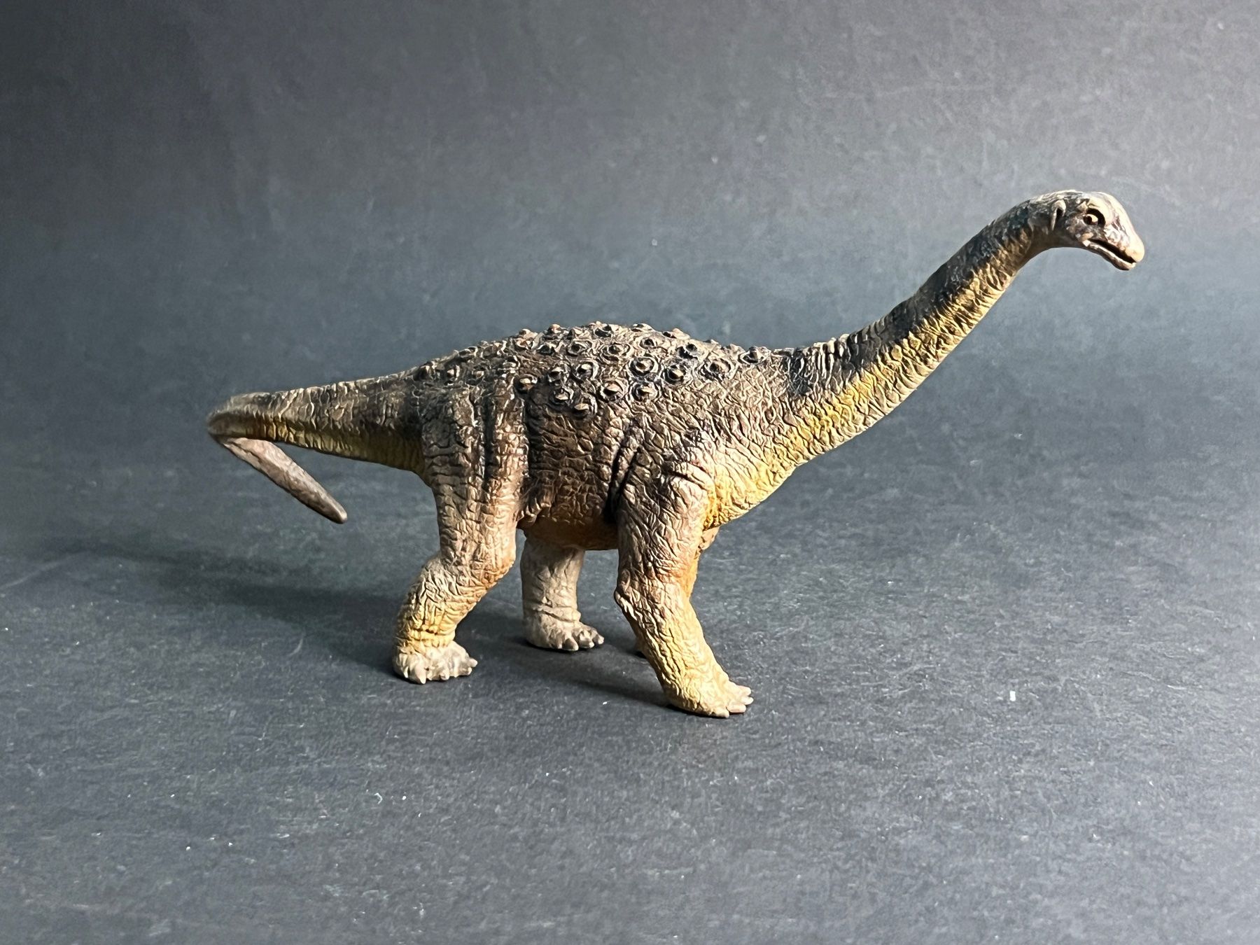 Schleich Statuette: 9 Schleich Dinos Dinosaurier Dino – Usato da Ennetbaden venduto da mapa05 7