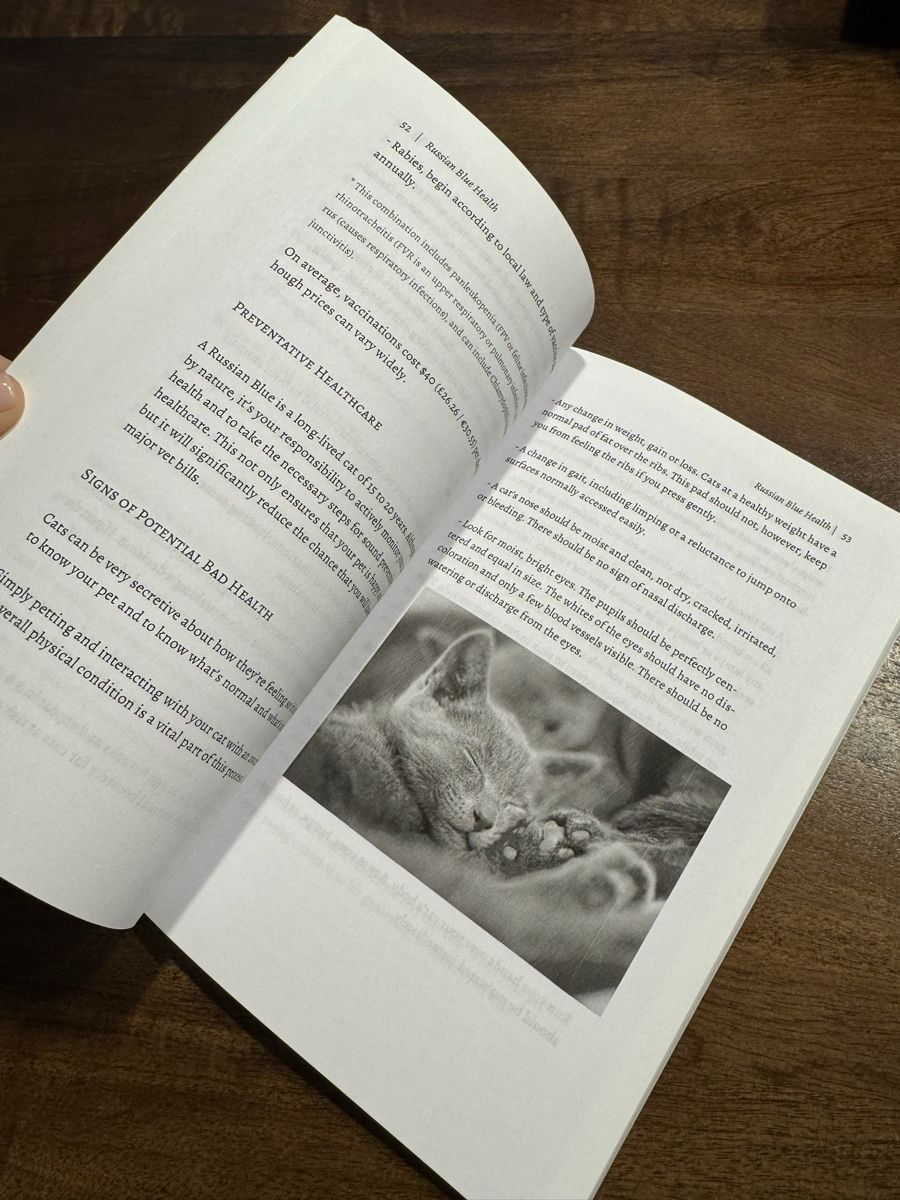Bücher: Russian Blue Cat Book - NEU – Neu und originalverpackt aus Dietikon von Angelina.amore 3