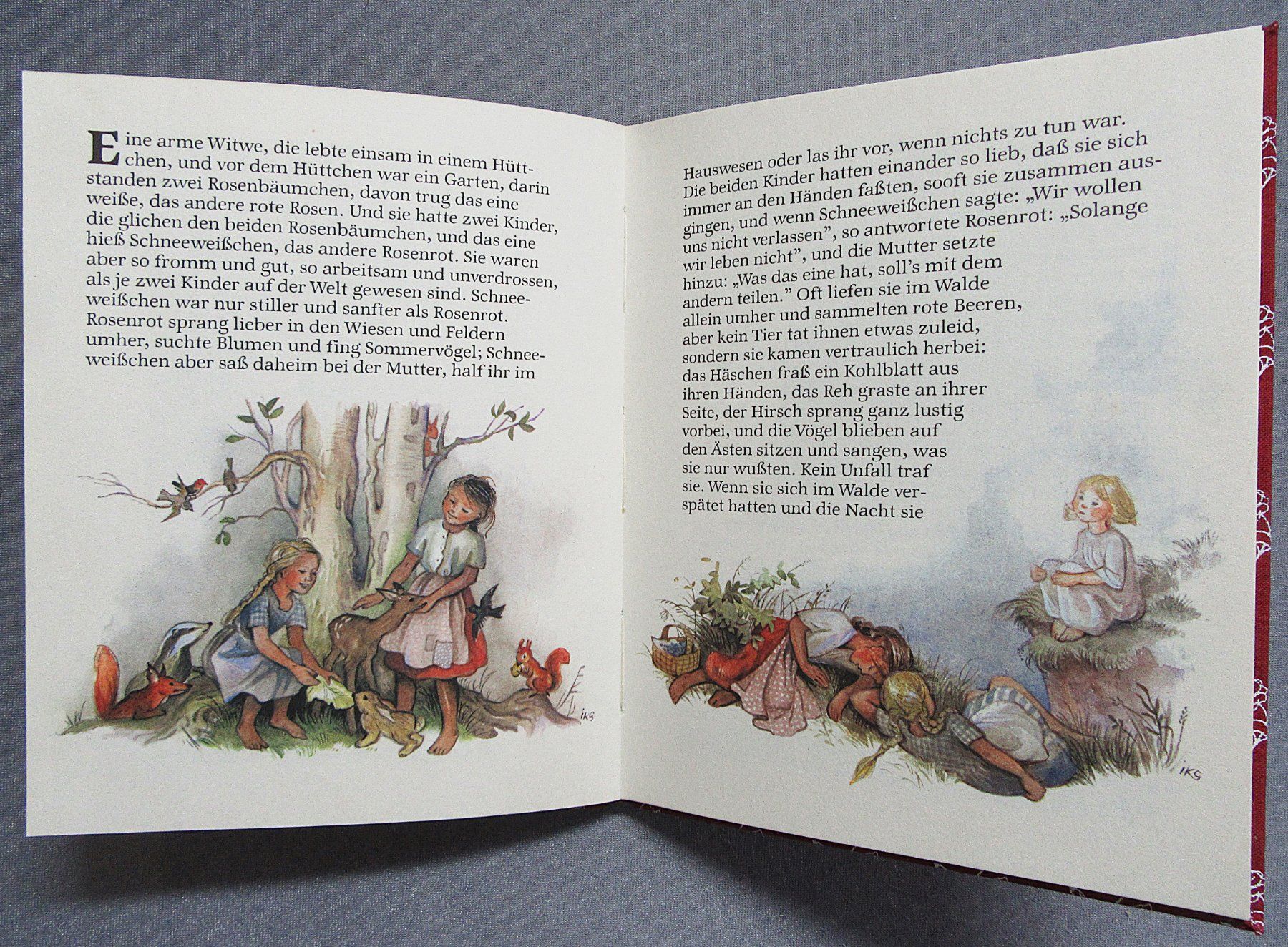 Bücher: Schneeweischen und Rosenrot - wunderschön illustriert – Gebraucht aus Auenstein von Padabimbim 1