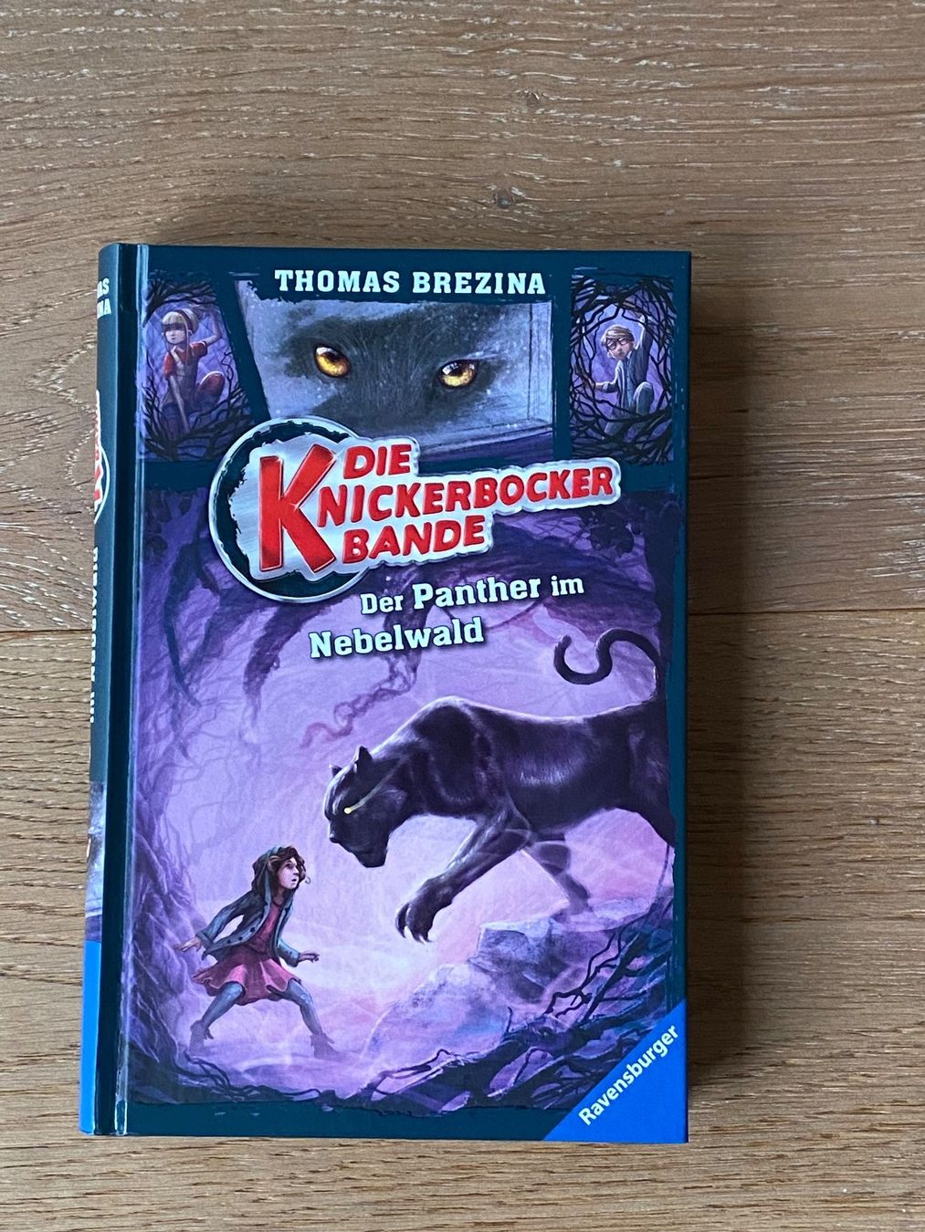 Libri: Die Knickerbocker Bande, Thomas Brezina, Ravensburger – Usato da Biberstein venduto da Miana2