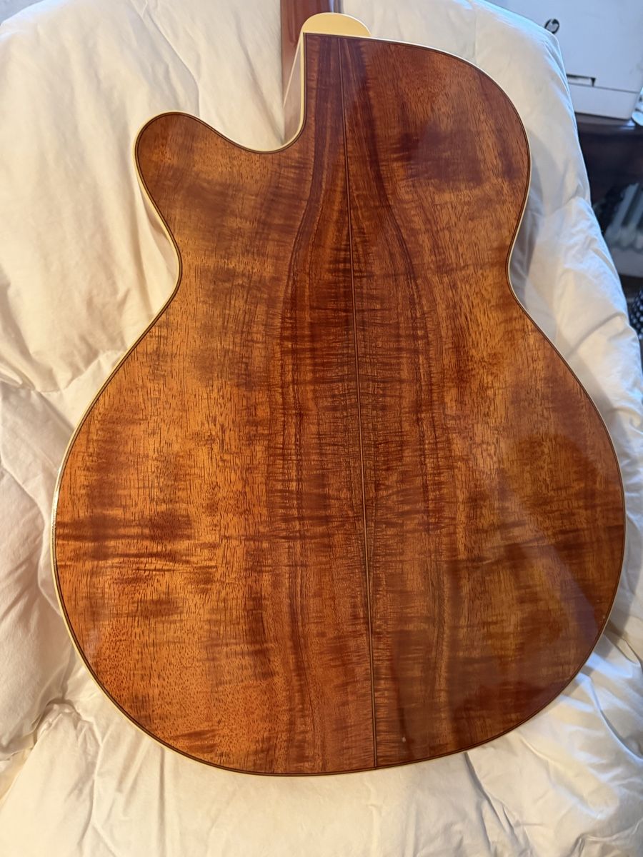 Takamine Musikinstrumente: Takamine Santa Fe LTD97 – Neu (gemäss Beschreibung) aus Diessenhofen von the-wingmaker01 1