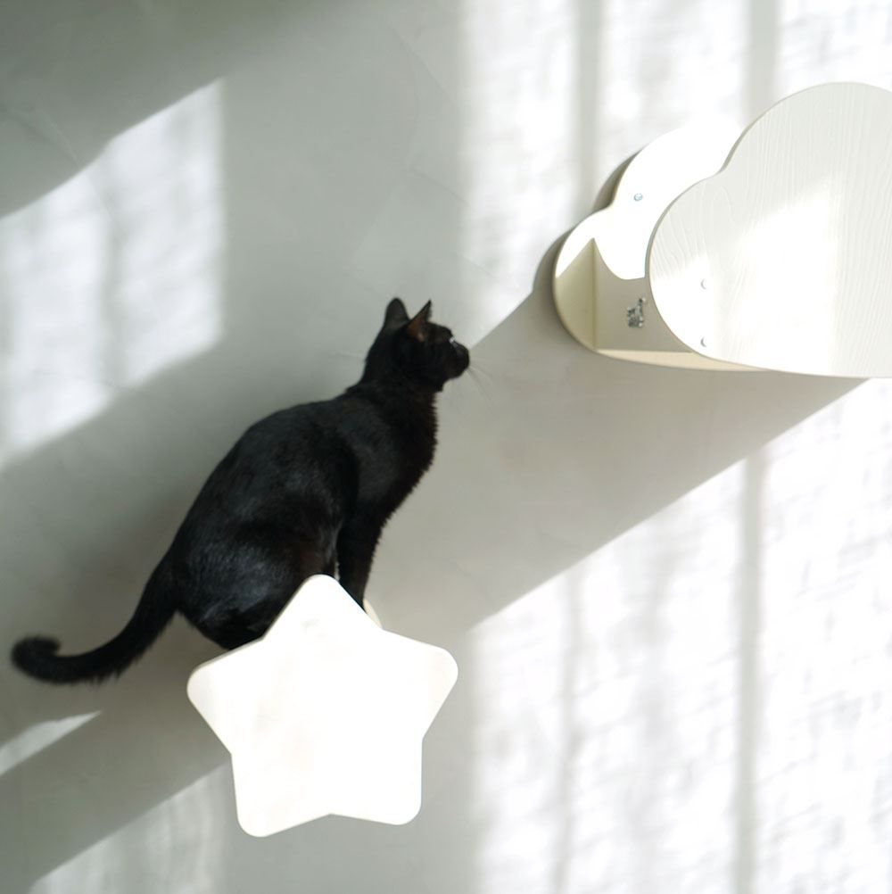 Liege- & Schlafplätze: CatS Kletterwand große Katzen stabil ... – Neu und originalverpackt aus Mönchengladbach von Zoopplier 6