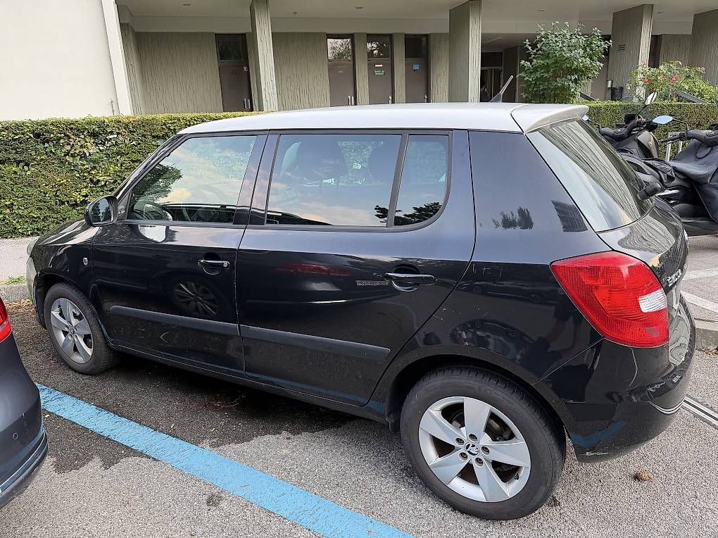 Automobili: Skoda Fabia  – Usato da Petit-Lancy venduto da Vazlima 2