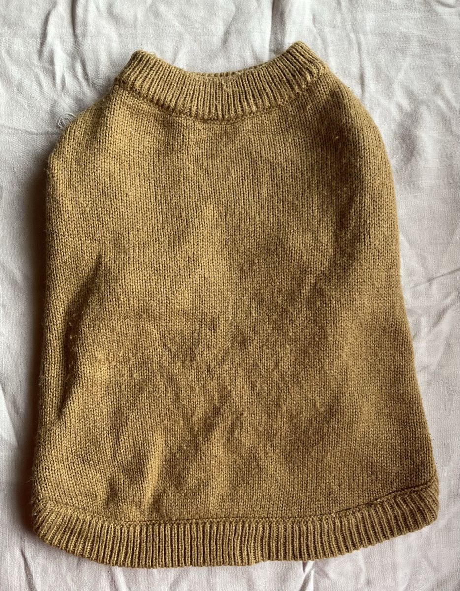 Abbigliamento: Hunde Pullover Grösse 39 – Usato da Volketswil venduto da Jojoooooo 1