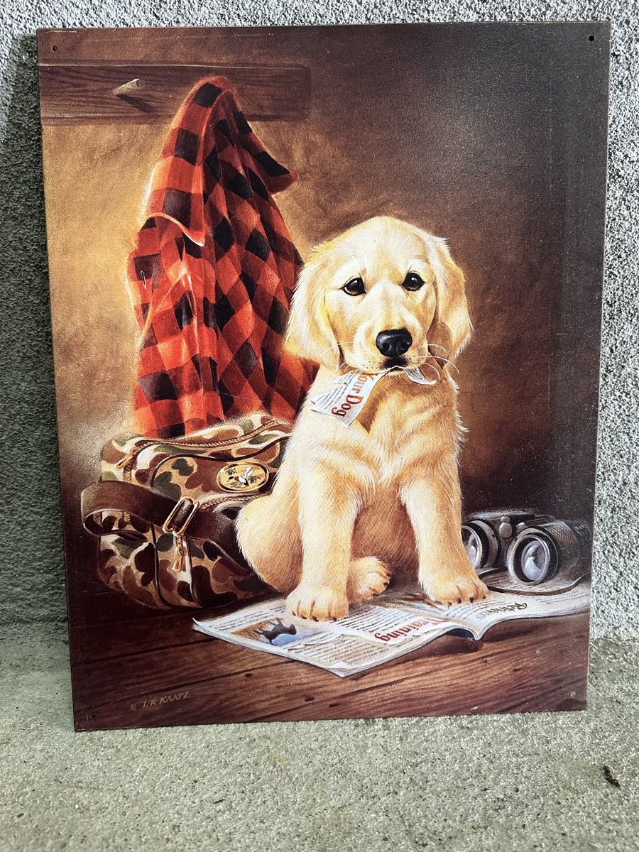 Insegne: Golden Retriever Labrador hund – Usato da Reinach AG venduto da rares75