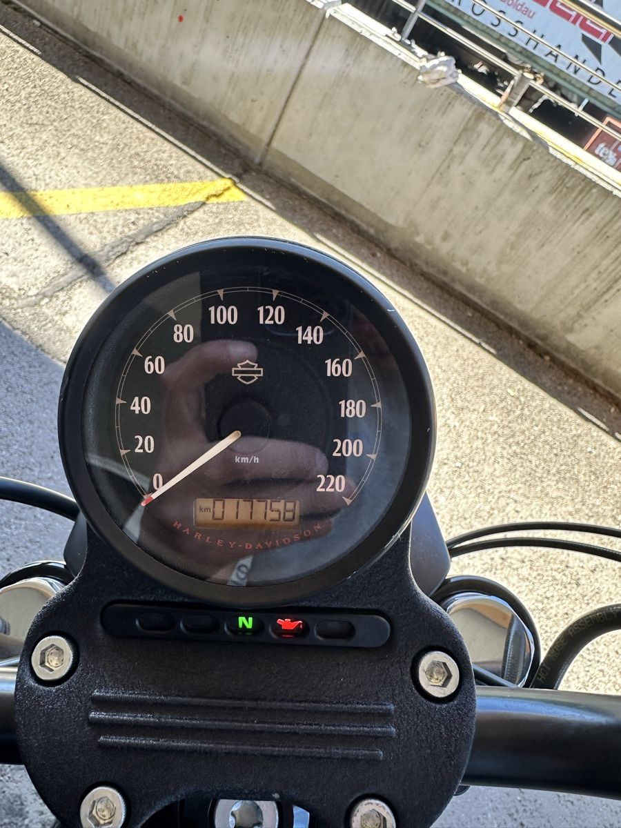 Harley-Davidson Chopper: Harley Davidson Sportster 883 – Usato da Cham venduto da dan_xnt9 4