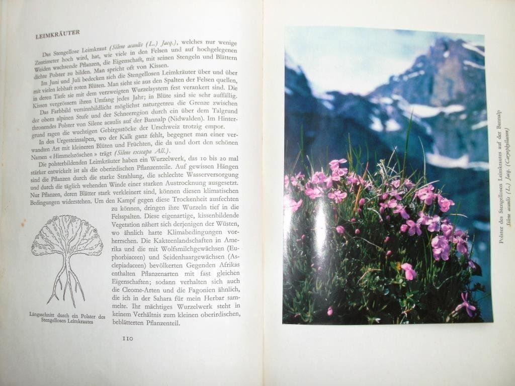 Libri: Unsere Blumen - Aloys Duperrex – Usato da Grenchen venduto da Kogi7 5