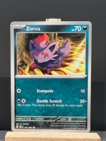 Pokémon Zorua 031/064 SV: Shrouded Fable EN