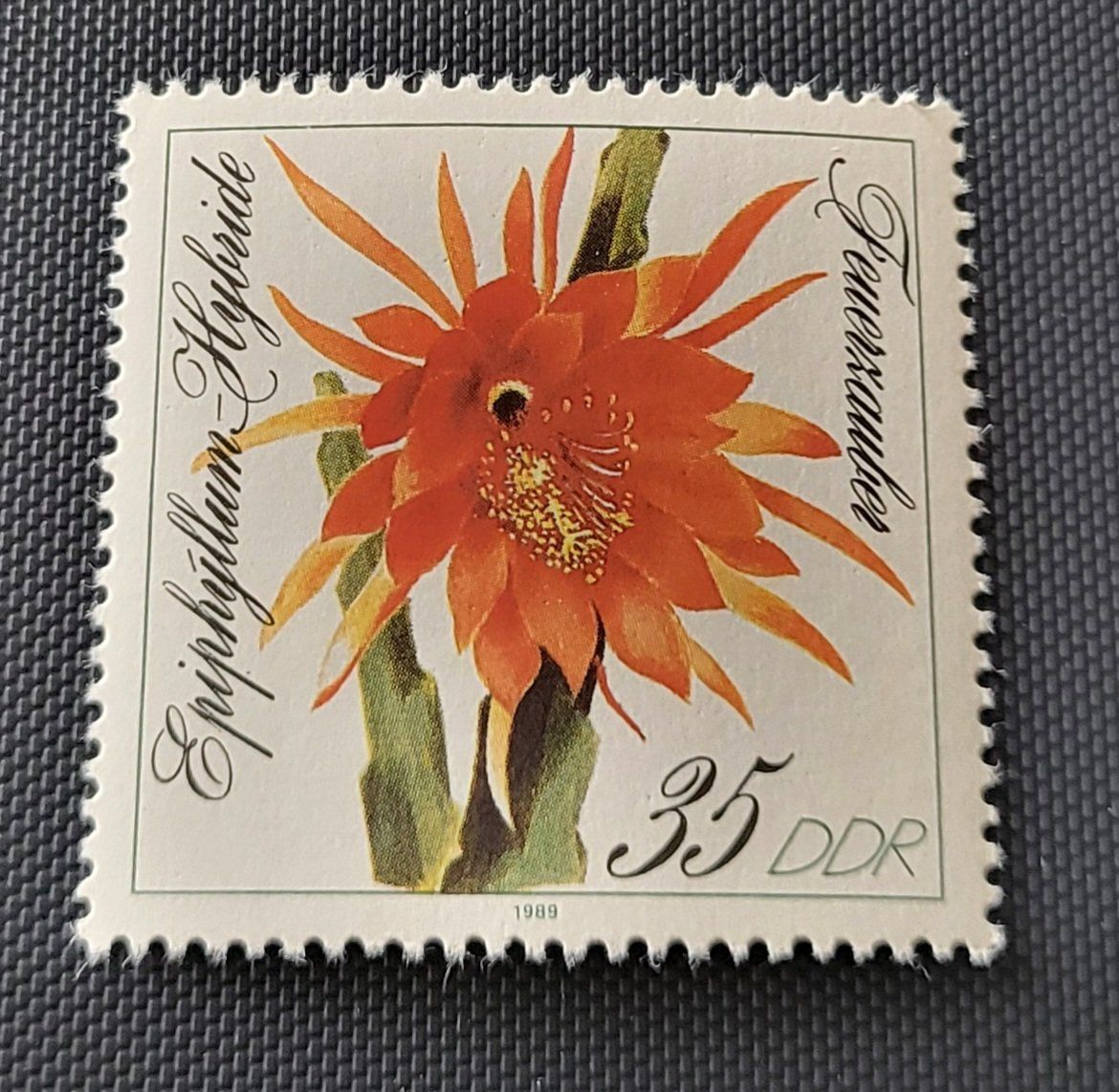 Tous les timbres: DDR 1989 briefmarke – D'occasion à St Gallen par Stampsalshobby