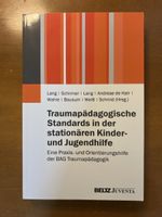Traumapädagogische Standards Kinder- u. Jugendhilfe Buch