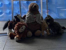 5 Plüschtiere: 2 Pferde, Waschbär, Löwe und Bär