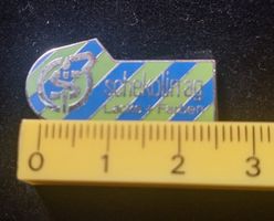 Pin Schekollin AG Lacke + Farben