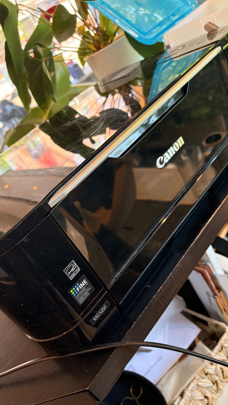Canon Stampanti: Canon MG5250 Printer + cartridge’s – Usato da Zürich venduto da duc_pjh7 1