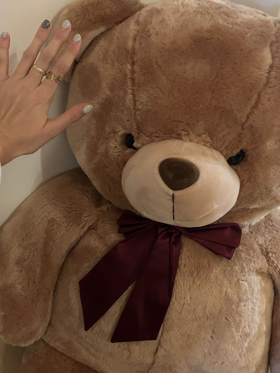 Giocattoli: Grosser Teddybär – Usato da Zäziwil venduto da jes_d7tm 1