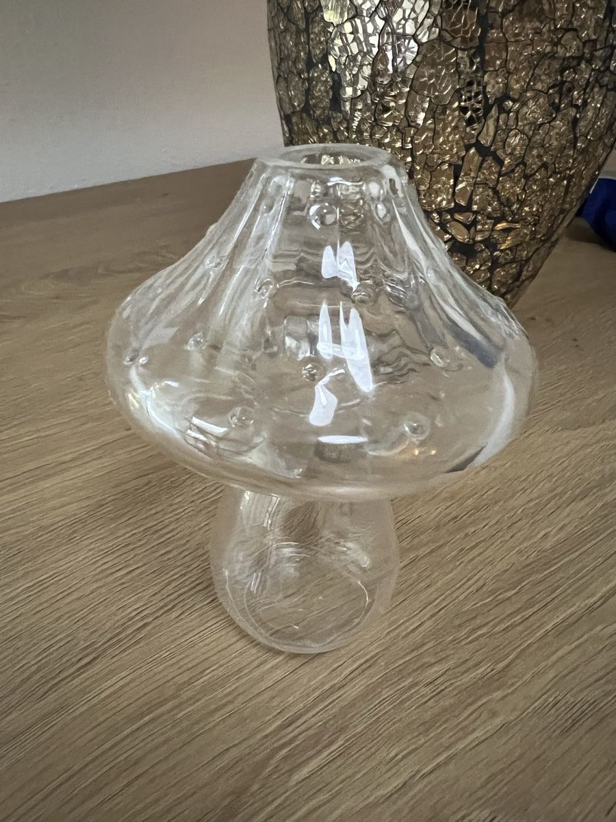 Tutte le decorazioni: Glasvase Pilz Design transparent – Usato da Zürich venduto da R1908