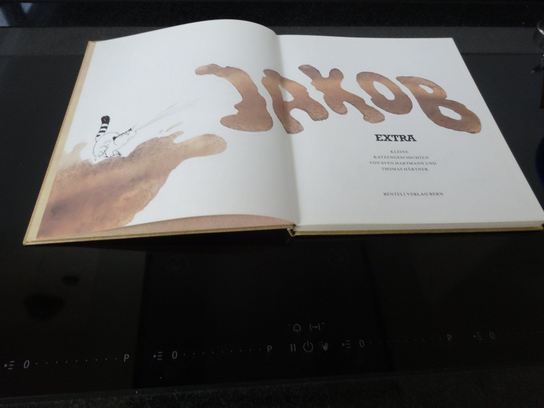 Libri: Jakob Extra Katzengeschichten Benteli Bern – Usato da Neerach venduto da jenny062 1