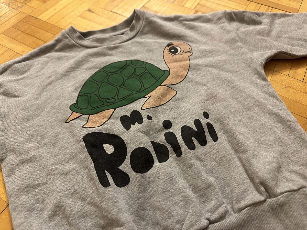 Mini Rodini Maglioni & Felpe: Mini Rodini Pulli Gr. 120 – Usato da Zürich venduto da Paleardi 1
