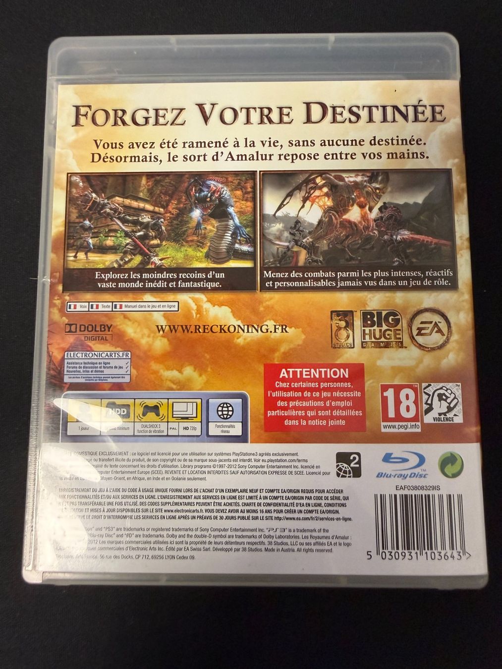 Sony Giochi: Les Royaumes D'Amalur Reckoning - PS3 – Usato da Pont-de-la-Morge venduto da Darfal 2