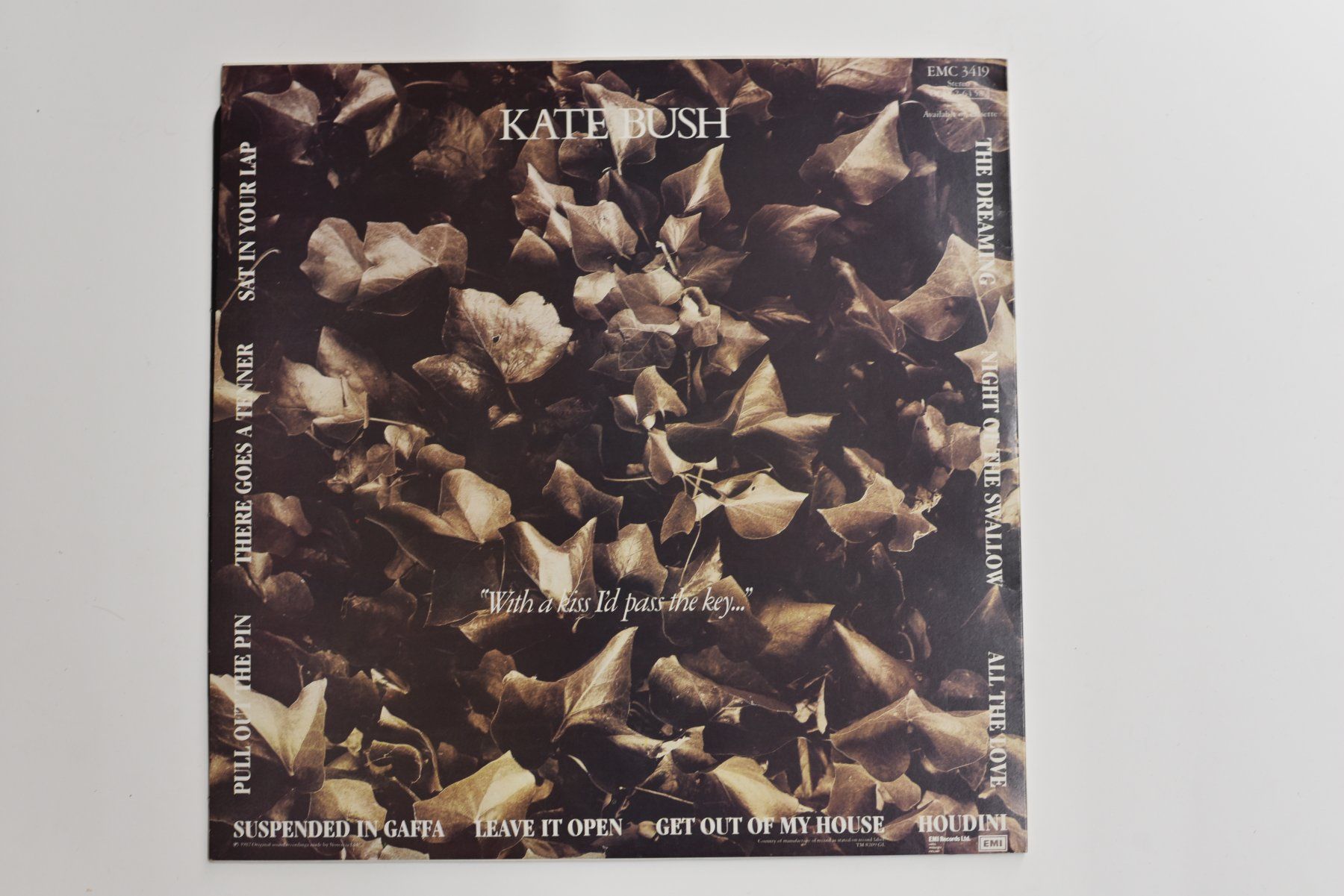 Dischi in vinile: Schallplatte Kate Bush - The Dreaming – Usato da Glis venduto da AtelierManus 1