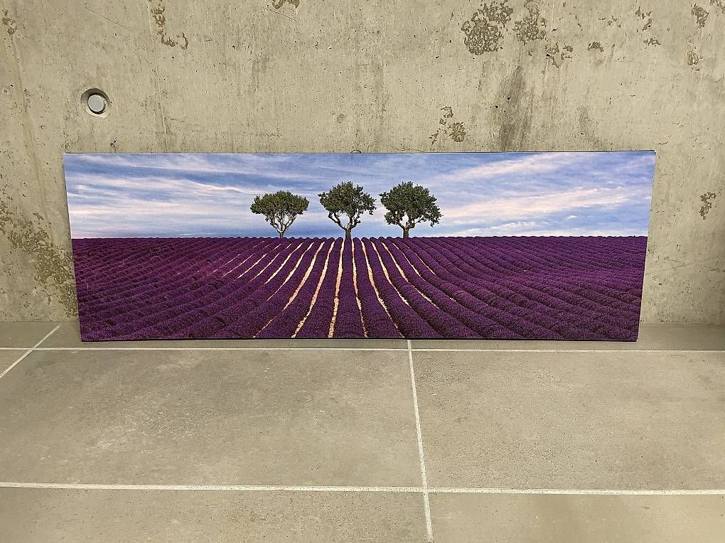 Gemälde: Quadro con lavanda, 90x30 cm come nuovo  – Gebraucht aus Lugano von tittidea