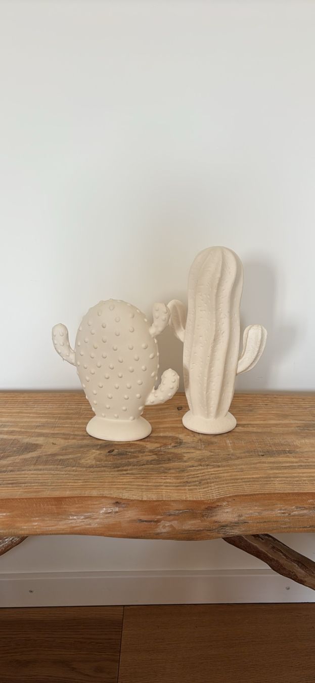 Tutte le decorazioni: Cactus décoration en céramique – Usato da Bulle venduto da lfr_gfx8