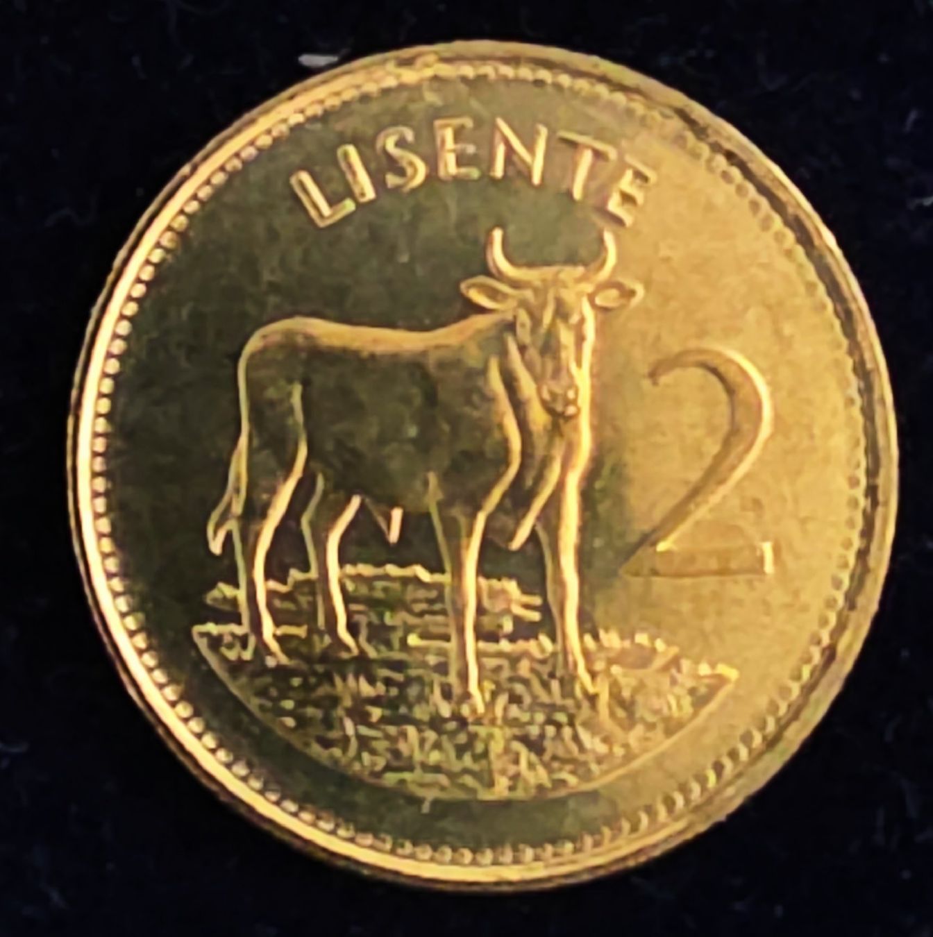 Tutti le monete: LESOTHO 2 LISENTE 1992 UNZ. – Nuovo (secondo la descrizione) da Winterthur venduto da Creso70