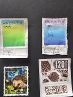 Lot 2026