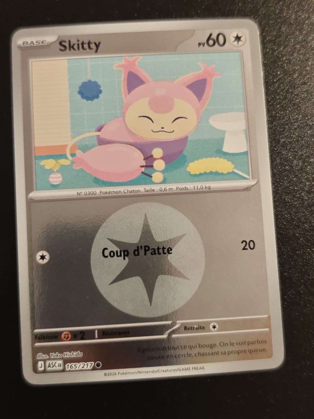 Pokémon Carte collezionabili: Skitty Reverse (165/217) - Héros Transcendants – Usato da Cormondreche venduto da pajojo
