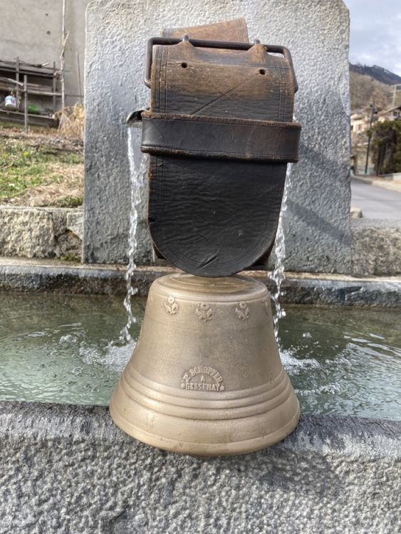 Cloche Schopfer de Gessenay Kaufen auf Ricardo