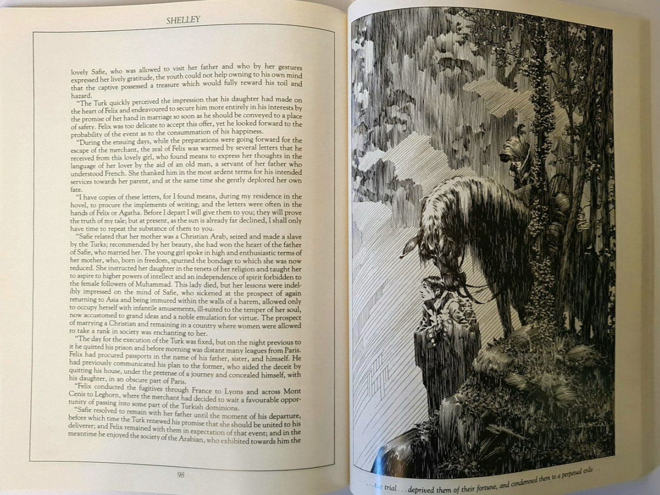 Libri: Bernie Wrightsons Frankenstein - Stephen King Intro. – Usato da Aesch BL venduto da pri_fp8t 2