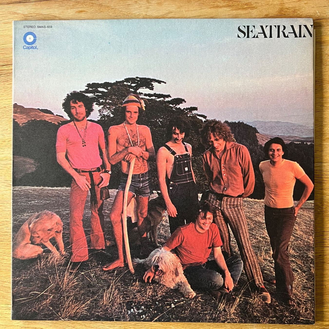 Dischi in vinile: Seatrain - Same / US-Press. RE - TOP – Usato da Gais venduto da soundcave57