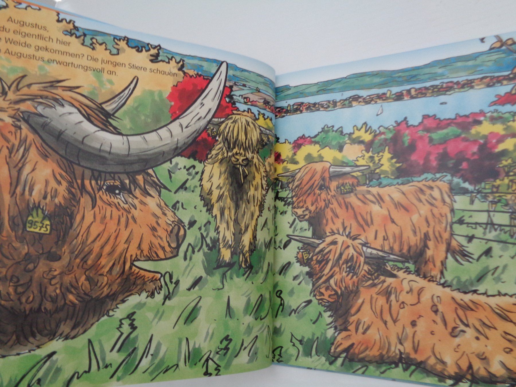 Libri: August 9575 - Fabian Hipp - Natur konkret – Usato da Chur venduto da Oregano1 3