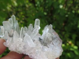 Nadelquarz mit sehr klaren Spitzen, Pyrit und Chlorit
