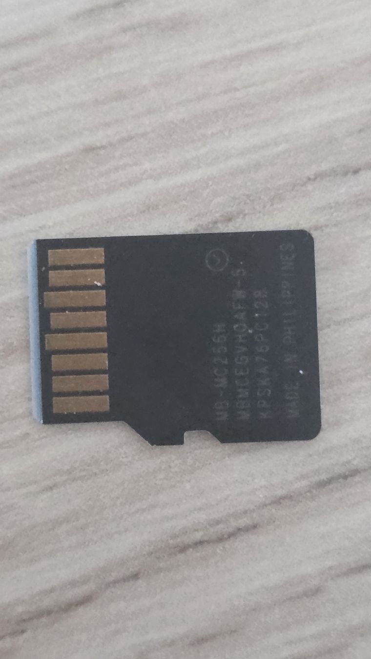 Samsung Schede di memoria: Carte Micro SD Samsung 256 Go EVO Plus  – Usato da Bramois venduto da Djoule87 2
