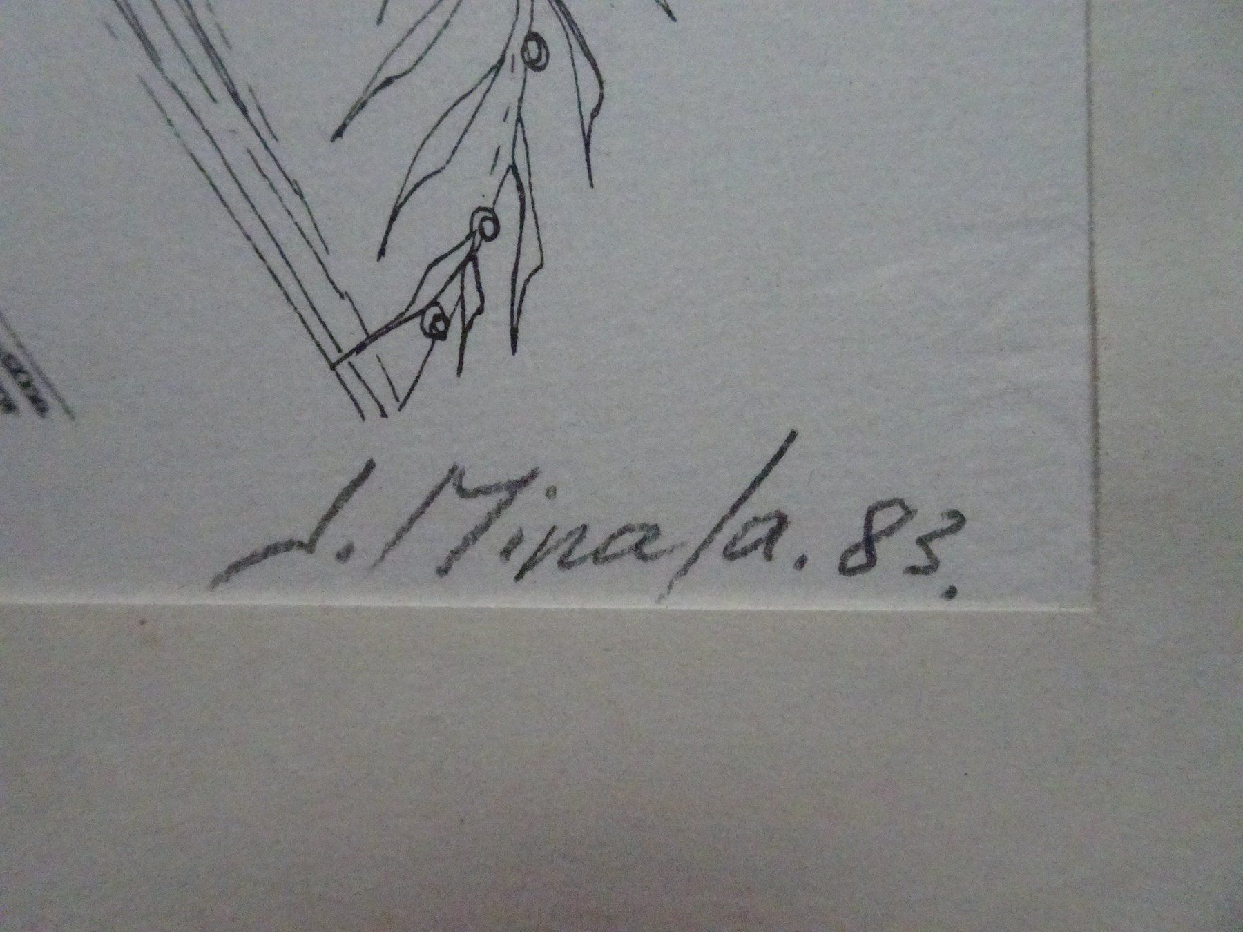 Foto & Immagini: Bild von J.Minala 1983 – Usato da Aadorf venduto da Chnorli-Furz 2
