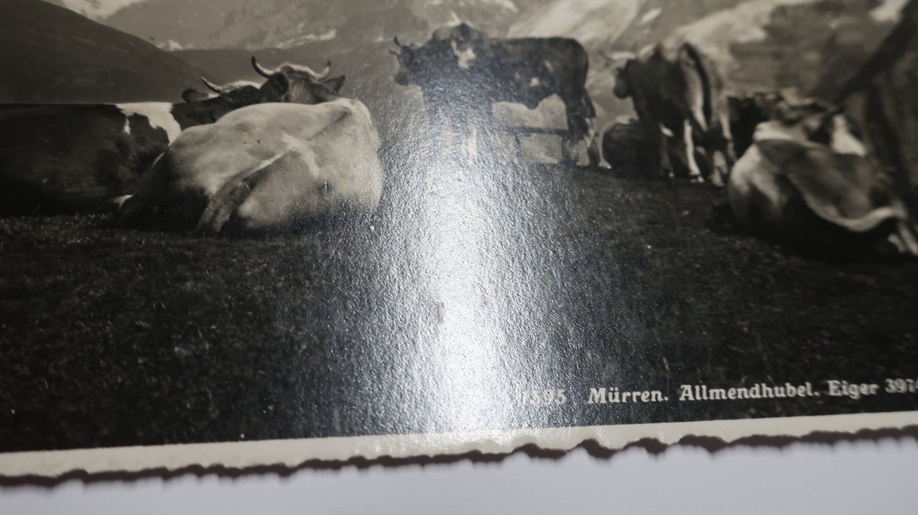 Cartoline postali: Mürren Allmendhubel Eiger, Mönch 1935 – Usato da Cormoret venduto da Pascalll2001 2