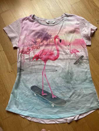 H&M T-Shirt Flamingo 🦩 auf Skateboard 🛹 Grösse 170