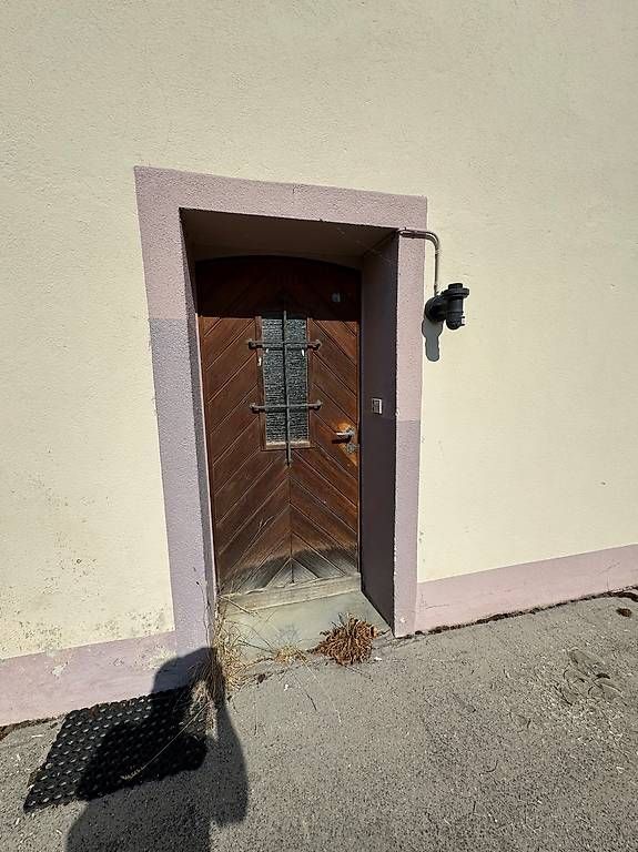 Portes: Alte Haustüre – D'occasion à Münchwilen AG par me2work 1