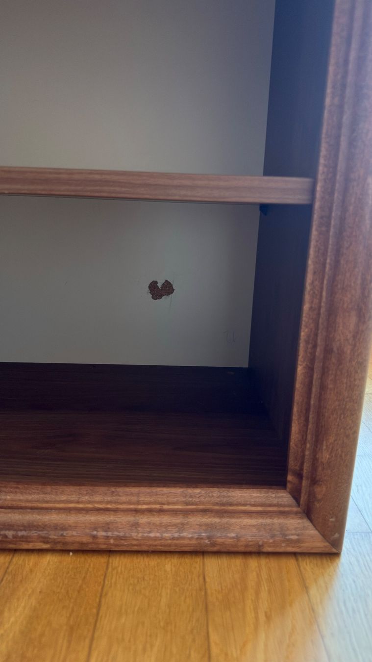 Étagères: Holzregal gratis – D'occasion à Dietikon par clearxsight 1