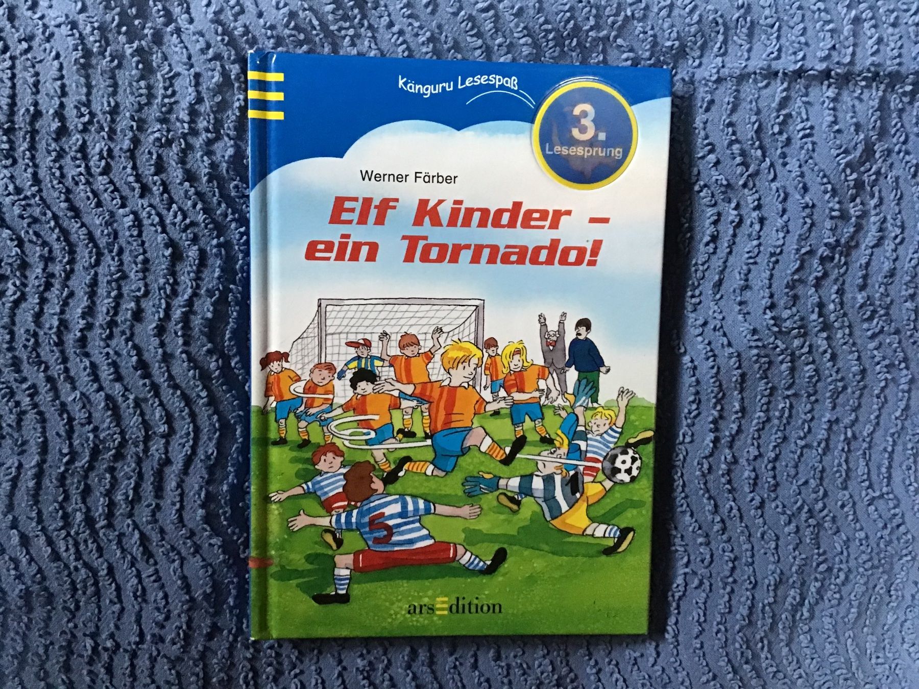 Bücher: Elf Kinder - ein Tornado Werner Färber, gebraucht – Gebraucht aus Rüti ZH von Wernika1