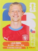 Panini FIFA World Cup CZE 11