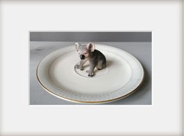Vintagetellerchen mit  Koala von Schleich