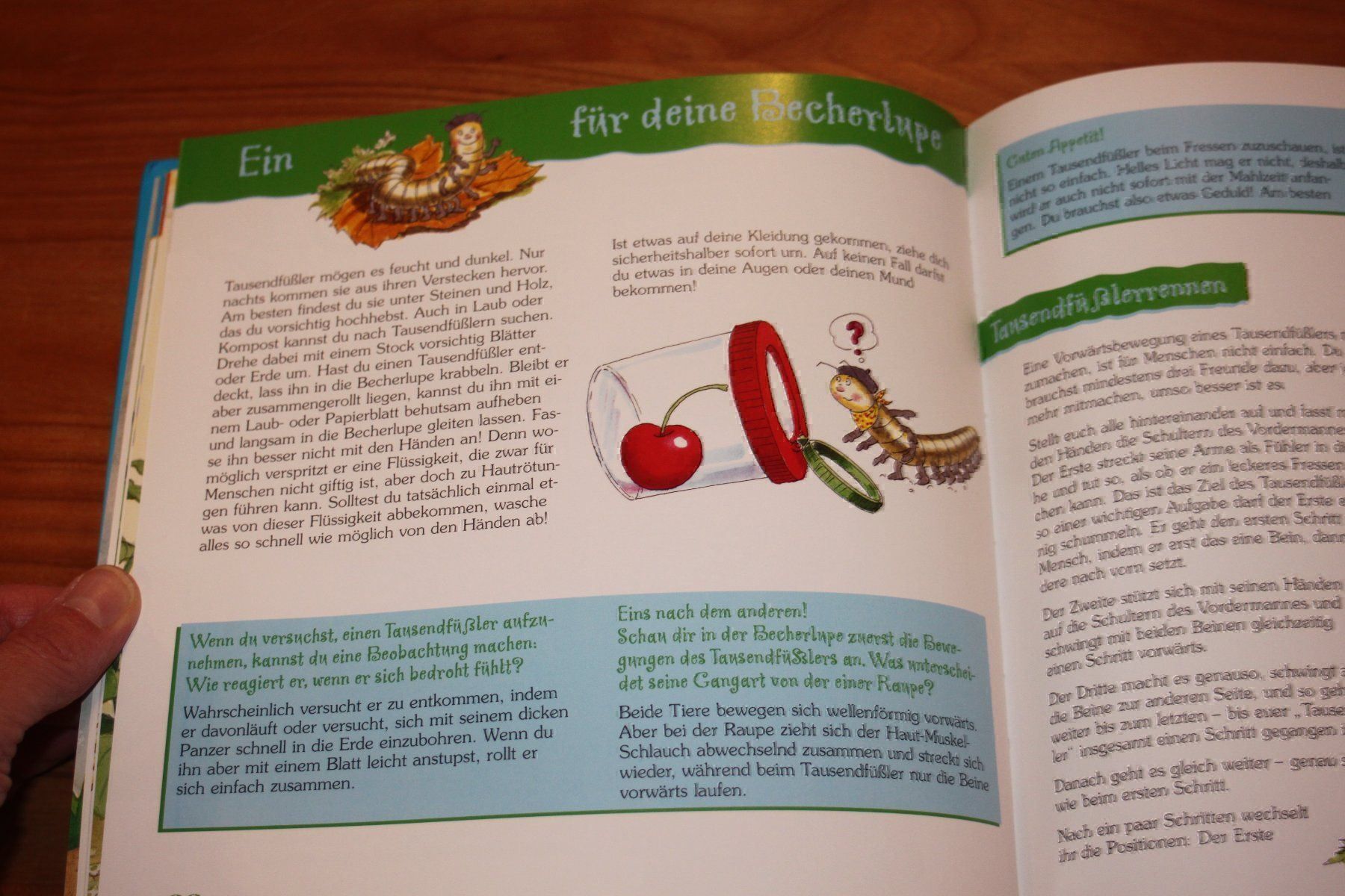 Bücher: mein erstes Becherlupenbuch – Gebraucht aus Wenslingen von Strick4Alpaca 3