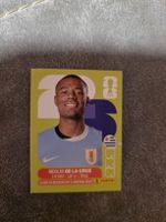 Panini WM 2026 URU 15 De La Cruz