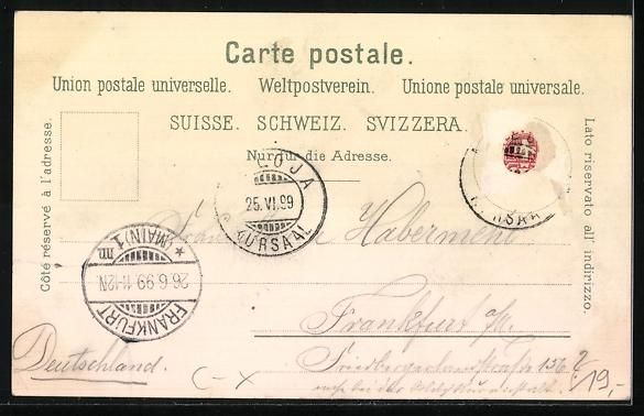 Cartoline postali: Litho Silvaplana, Panoramaansicht, Blick – Usato da Berlin venduto da bartko-reher 1