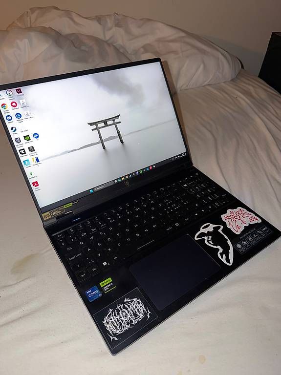 Acer Notebook: Acer Predator Helios 16 PH16-71-7575 – Usato da Genève venduto da mat_2mst 1
